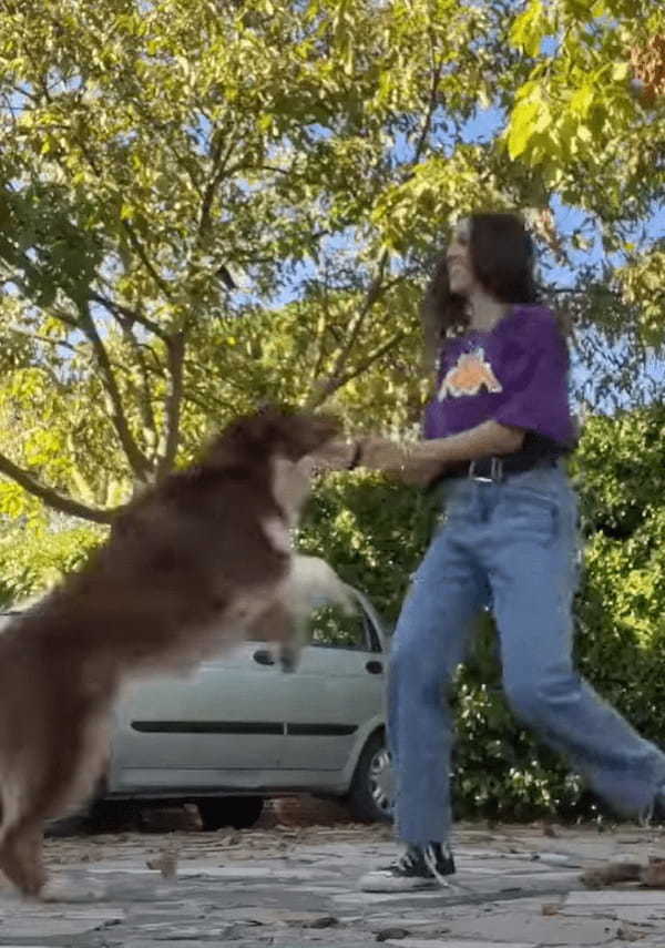 大変だ！犬がカメラをくわえて走って行っちゃった！！後から映像を確認したら、この犬の目線の疾走感ある映像が撮れていました！！