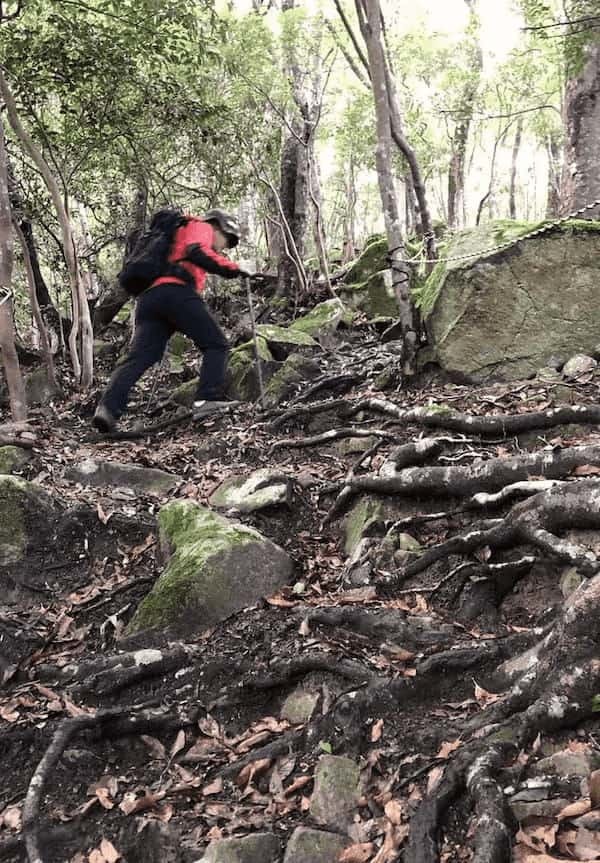 眺望最高♪ロッククライミング気分も味わえる！気軽な登山4選＜兵庫＞