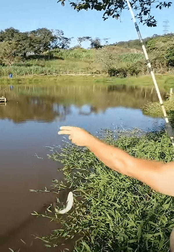 見事に魚を釣り上げた男性。その魚を狙って背後から忍び寄る影が！「あっ！この泥棒猫！！」