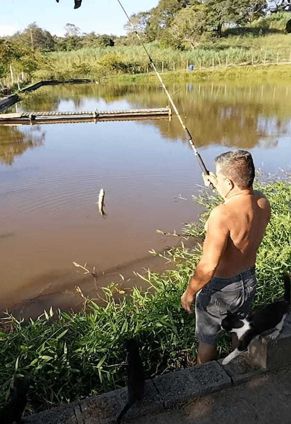 見事に魚を釣り上げた男性。その魚を狙って背後から忍び寄る影が！「あっ！この泥棒猫！！」