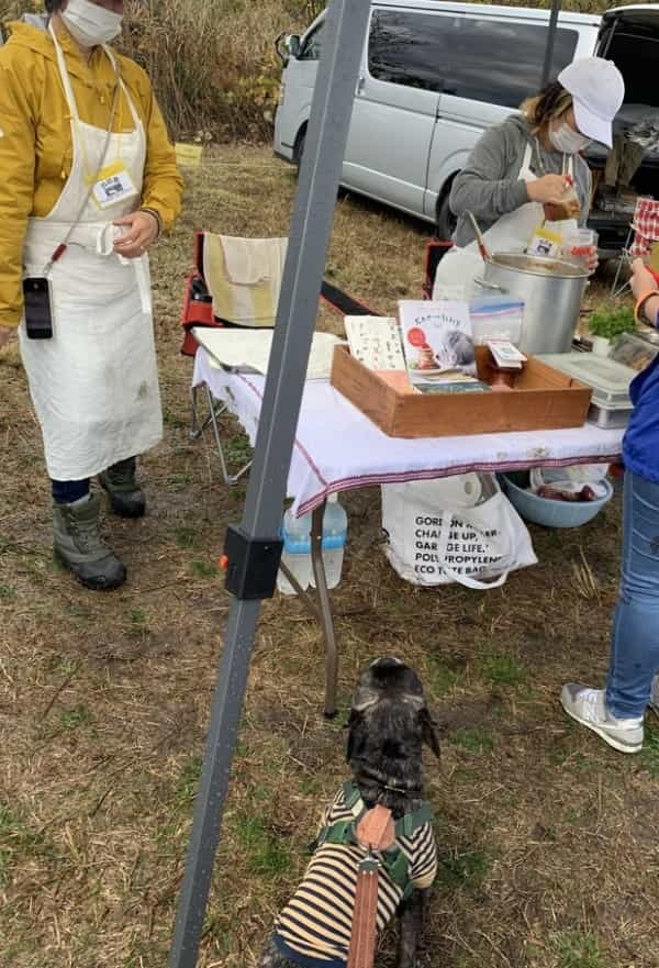 湘南国際村めぐりの森にて 保護犬のためのチャリティイベント開催！ DOGs CONFERENCEイベントレポート