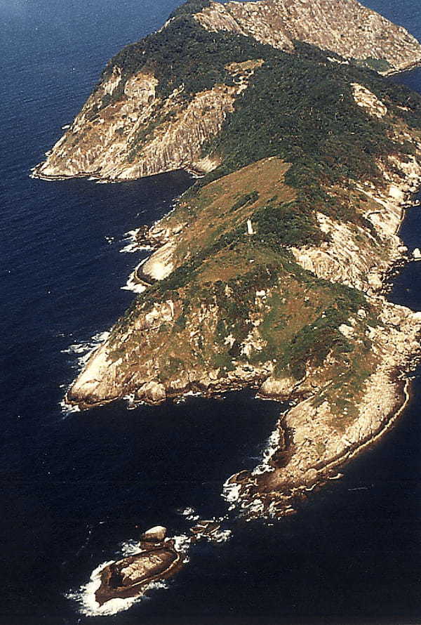 海賊の財宝伝説と“殺人ヘビ”の島…ブラジル沖に浮かぶ「スネークアイランド」4000匹の猛毒ヘビが支配する“死の島”の正体とは?