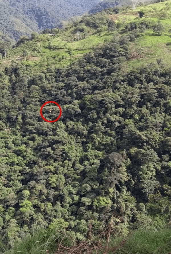 【再生回数7500万再生超】コロンビアにある世界最恐の交通手段!徒歩3時間の道のりをたった30秒で移動可能!乗りたい?それとも歩く?