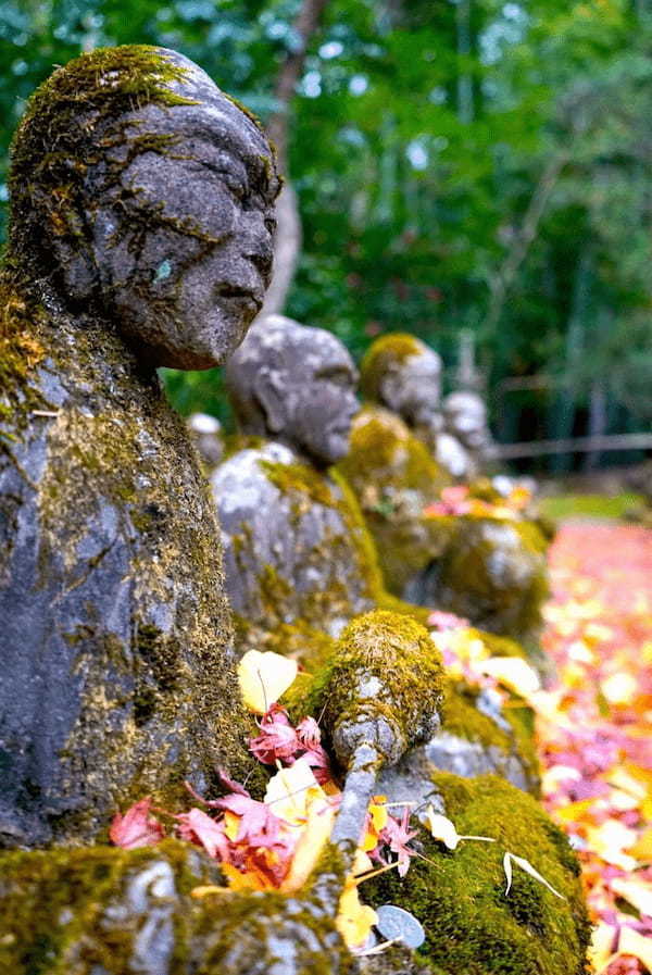 京のパワースポット！表鬼門を守る陰陽道の祖神『赤山禅院』と神々