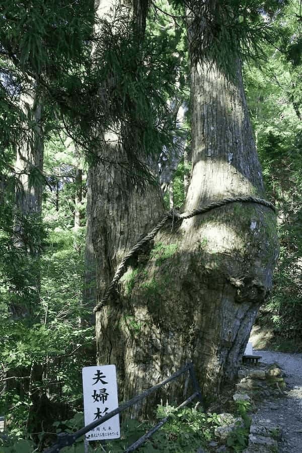 【奈良】神秘的な世界。熊野三山の奥宮、玉置神社を訪れてみた