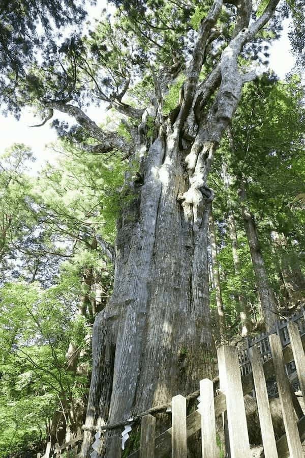 【奈良】神秘的な世界。熊野三山の奥宮、玉置神社を訪れてみた