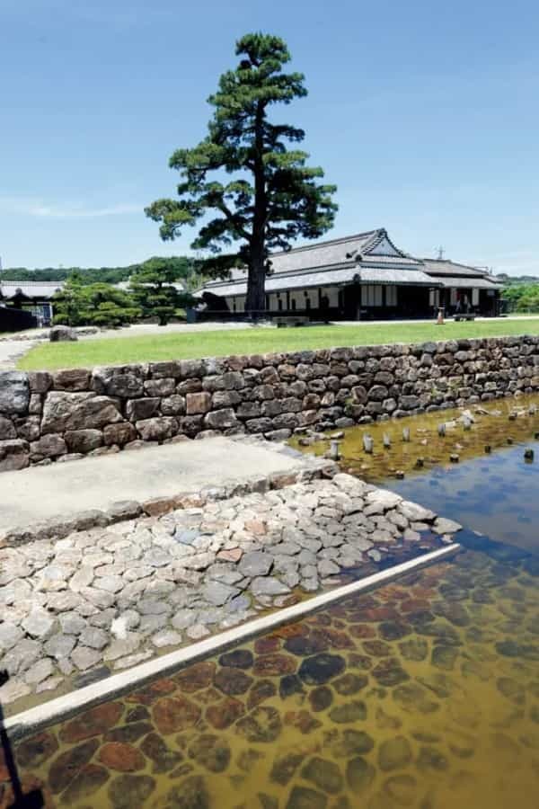 湖上探検と餃子を楽しむ浜名湖キャンプは大人のソロキャンパーに最適かも