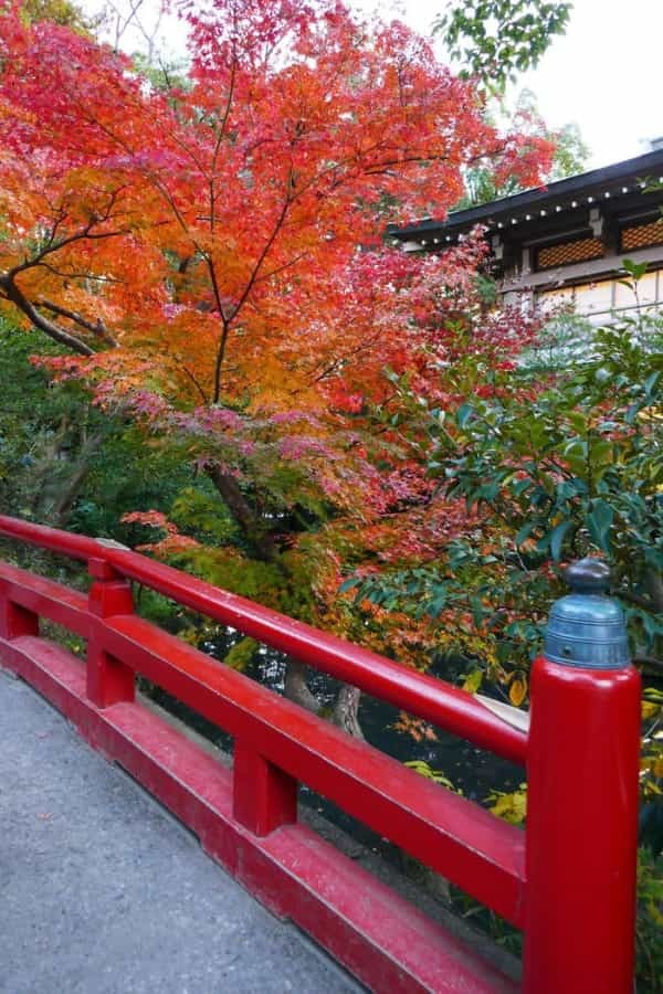 【鎌倉歴史さんぽ：入門編】源頼朝ゆかりの「鶴岡八幡宮」へ