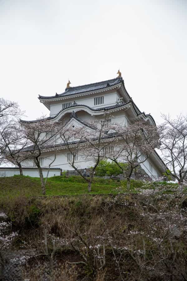 【連載】旅行好きと行く！菜の花の絨毯が広がるローカル線いすみ鉄道の旅