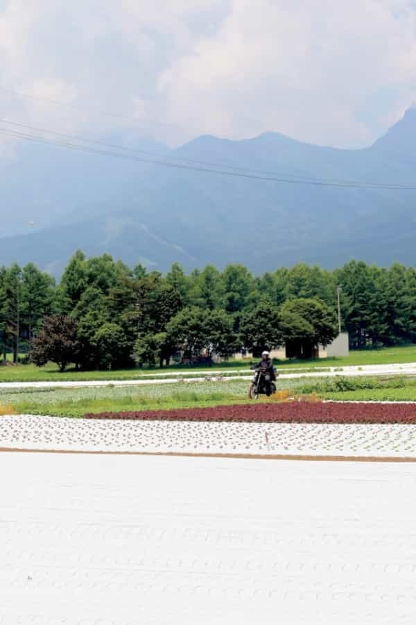 ソロでバイクで行ってきた！ 涼しさ際立つ夏の高原キャンプとは？