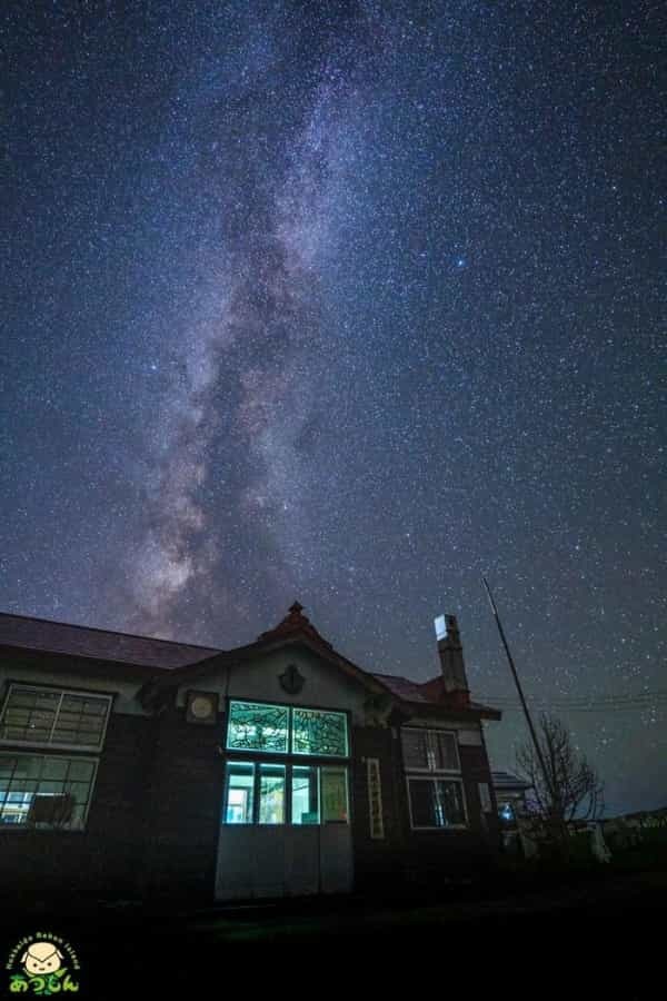 【癒し】夏の暑さに疲れたあなたへ「礼文島」という選択肢はいかがですか？