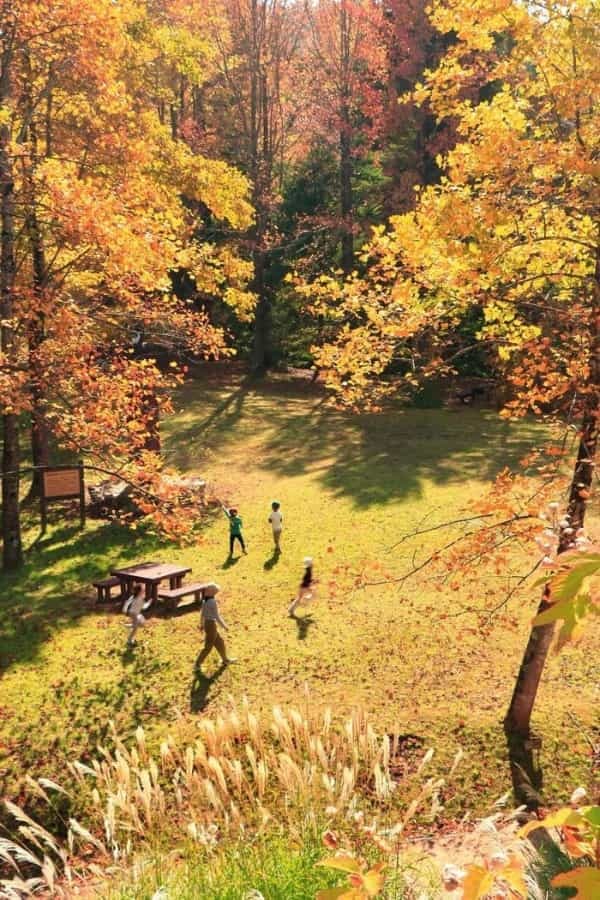 絵画の中にまぎれ込む、圧巻の紅葉【神戸市立森林植物園】