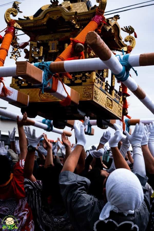 お神輿が空を飛ぶ！？礼文島厳島神社祭に行ってきた！！