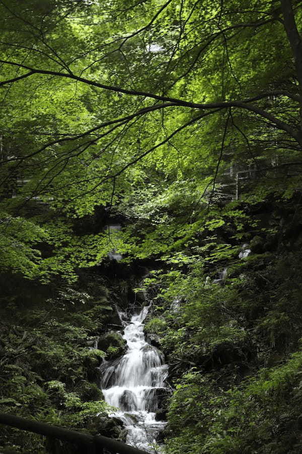 【四季と宿をめぐる旅】岐阜県〜渡合温泉と緑豊かな付知峡〜