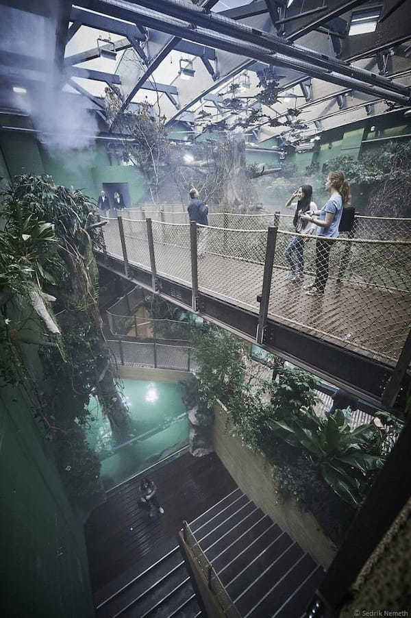 ヨーロッパ最大の淡水魚水族館「アクアティス(Aquatis)」が、スイス・ローザンヌにオープン!
