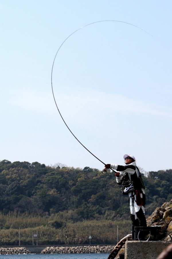 メジナ釣り【入門ガイド】仕掛け、ルアー、スポット、時期まで攻略しよう!