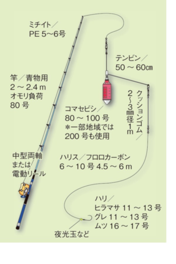 メダイ釣りガイド！釣り方の基本やコツを徹底解説！