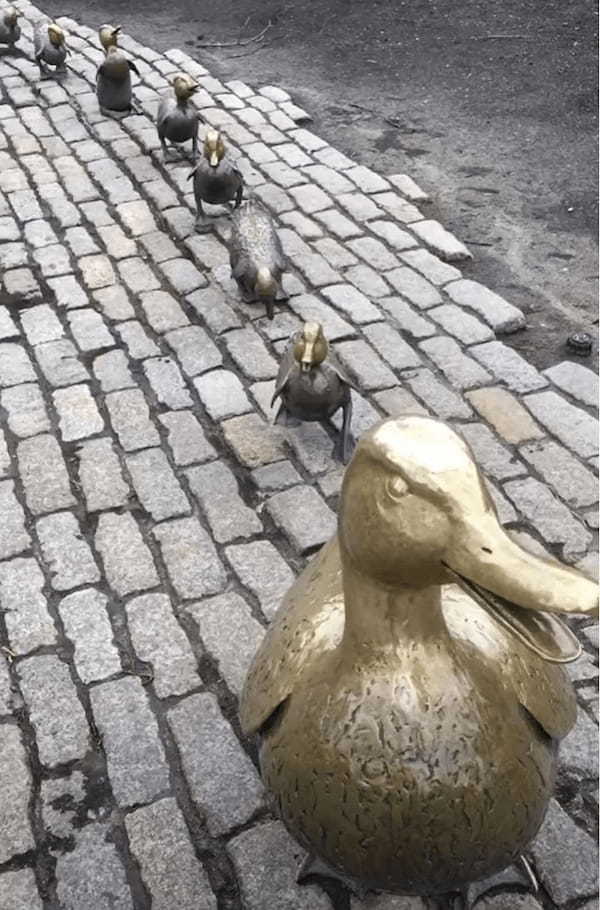 公園に設置されたアヒルの親子のブロンズ像。その最後尾にいたのは・・【アメリカ・動画】