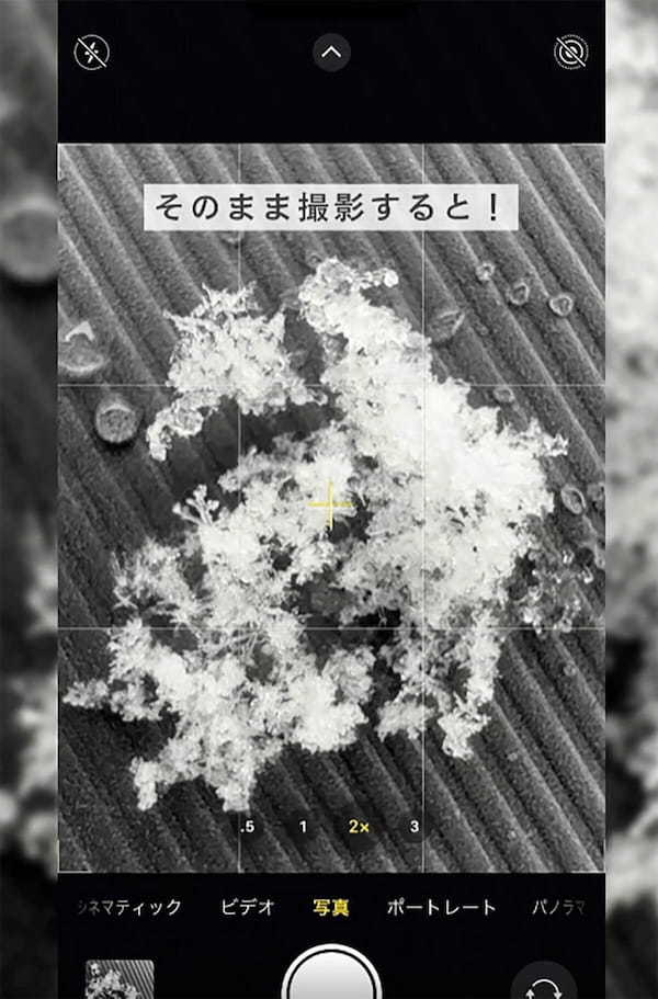 iPhoneできれいに“雪の結晶”を撮影する方法が話題 、接写可能なAndroidもOK