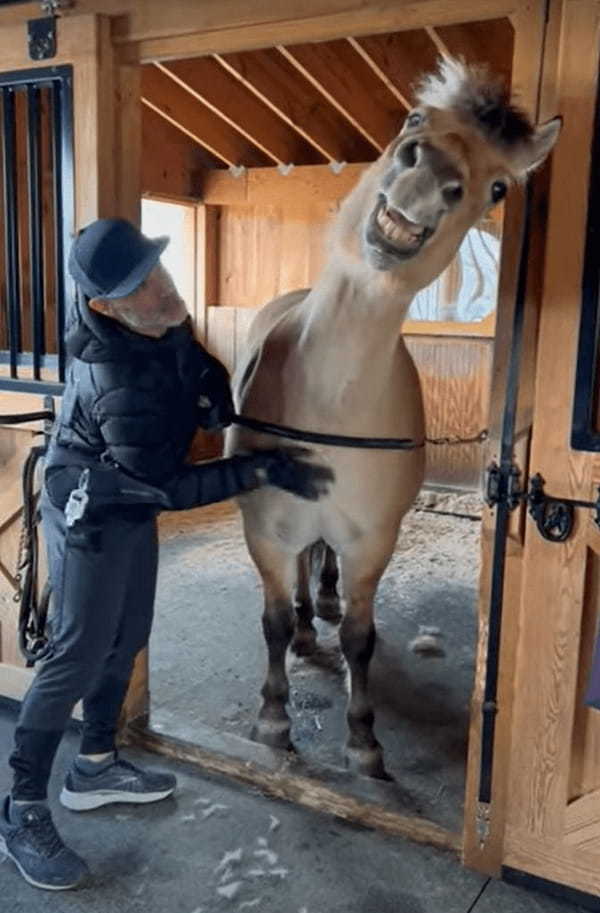 体をゴシゴシとマッサージしてもらうのが大好きな馬。体や首元をマッサージしてもらうと、とても気持ちよさそうな顔を見せてくれました！！