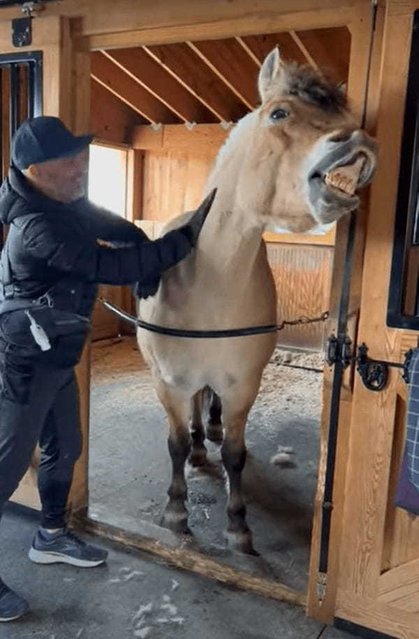 体をゴシゴシとマッサージしてもらうのが大好きな馬。体や首元をマッサージしてもらうと、とても気持ちよさそうな顔を見せてくれました！！