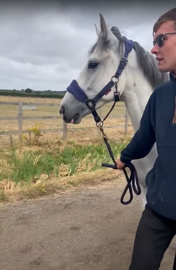 男性に引かれて散歩をしている馬。ところがピタッと足を止めると・・、その直後『驚きの行動』に出たのです！！【海外・動画】