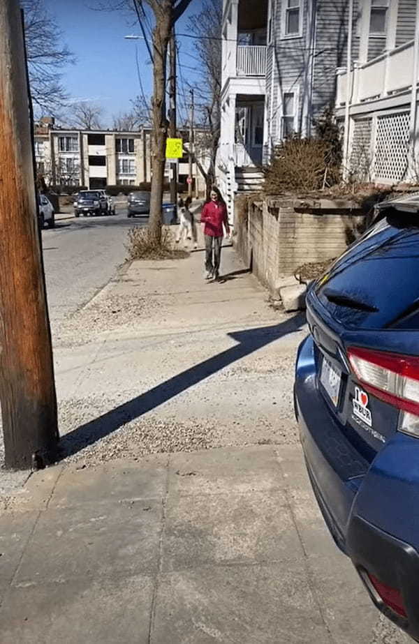 お散歩がとても楽しいのかな？犬がピョンピョン歩道を跳ねながら進んでいるその姿は、とてもご機嫌なようにしか見えません！！