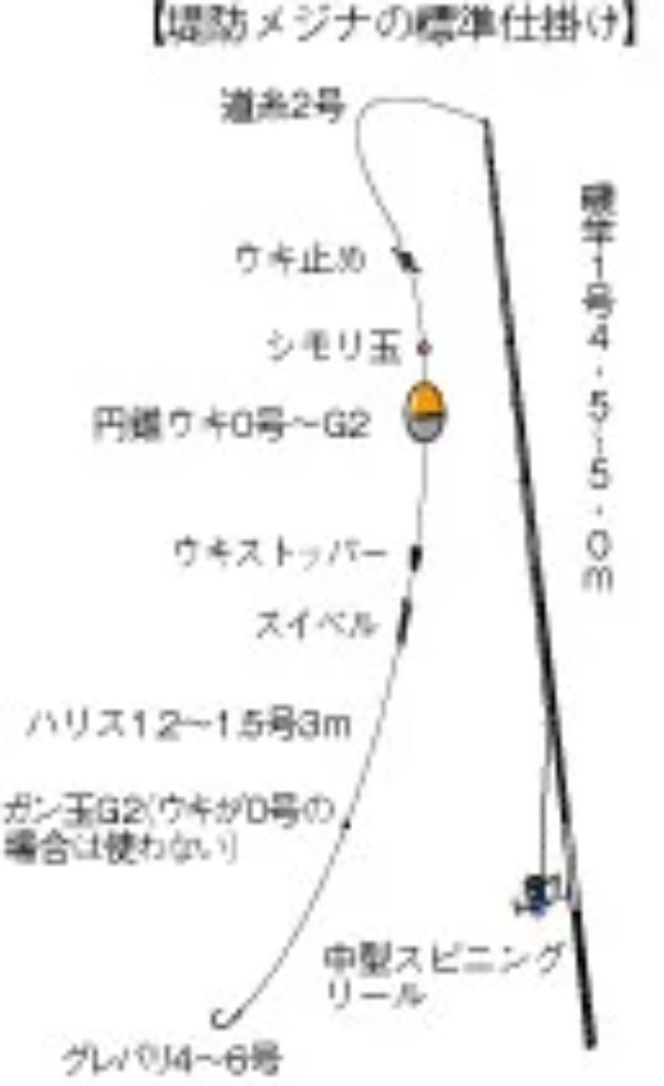 メジナ釣り【入門ガイド】仕掛け、ルアー、スポット、時期まで攻略しよう!