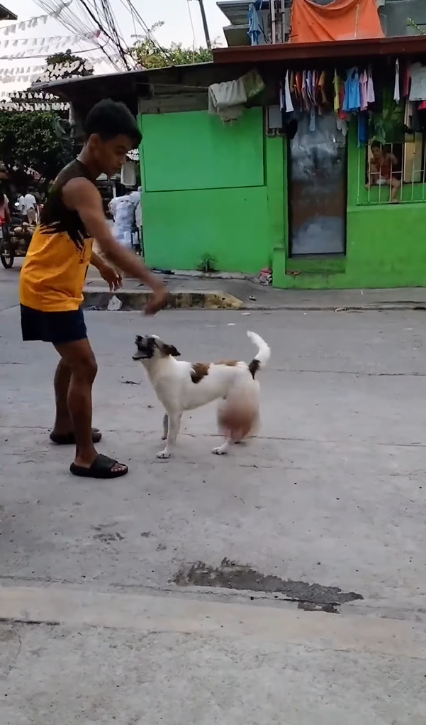 偶然？覚えた？飼い主さんがバスケットボールでドリブルをするのを見ていた愛犬。ボールを高く弾ませてもらうと・・なんとビックリ！！【動画】