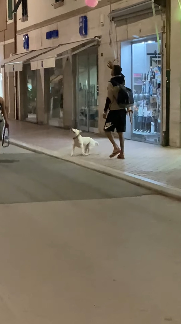 とても楽しそうにイタリアの街角を進む犬。風船でバレーをしながら歩くその姿は、見るからにご機嫌です【海外・動画】