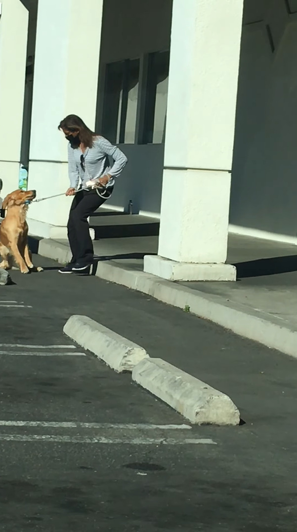 病院に行くのを頑なに拒む犬。踏ん張ったり飼い主さんも引きずるようにしてバックしてみせますが・・・