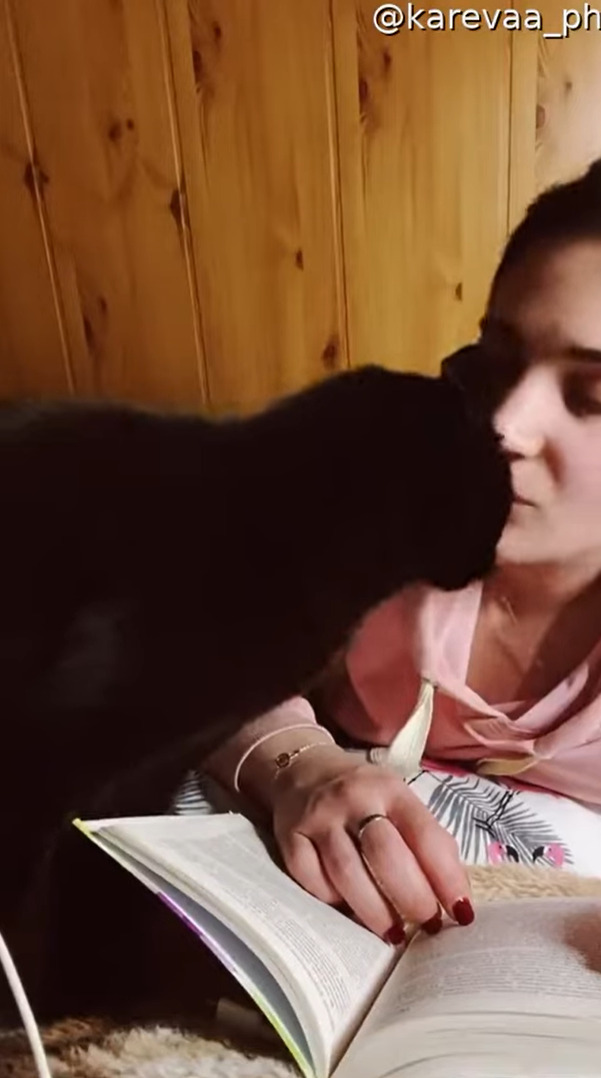 飼い主さんに甘える猫。キスをしてもらいたいみたいだけど・・、そのおねだりの仕方がなんだかパワフル！！【海外・動画】