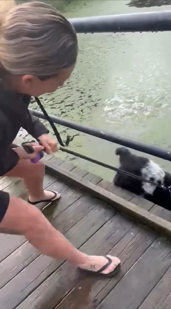 水面を泳ぐアヒルの姿をしげしげと見つめる犬。飼い主さんが「あっちへ行こう」の意味で「GO!」と言ったところ、ある勘違いをしたらしく・・！