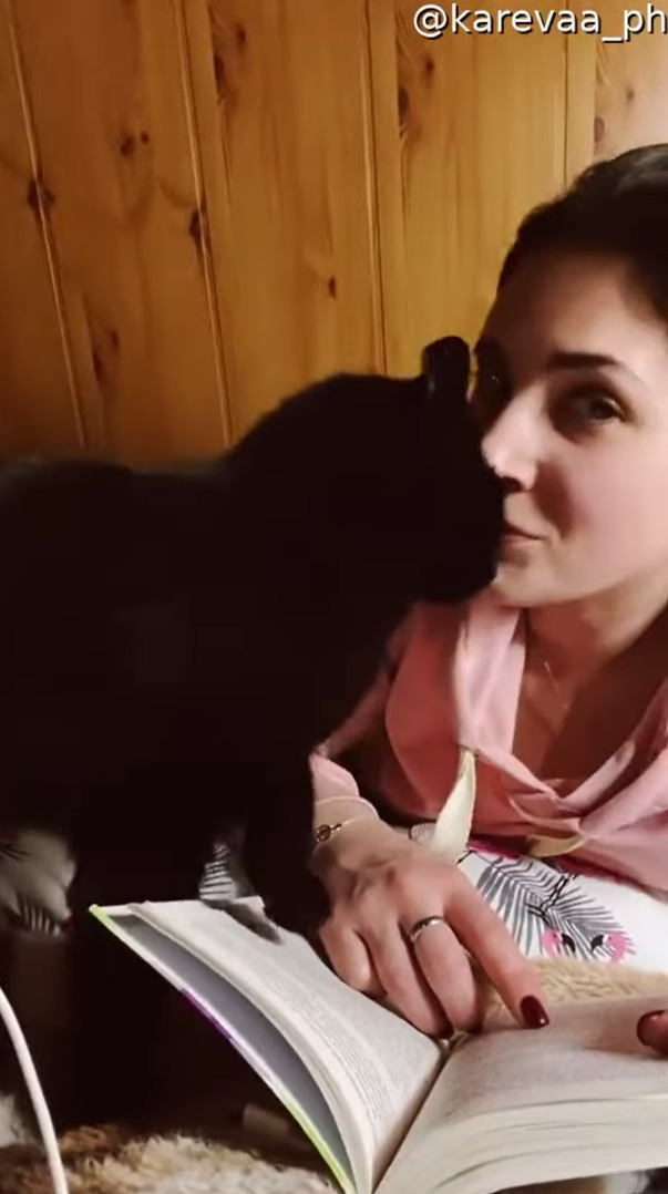 飼い主さんに甘える猫。キスをしてもらいたいみたいだけど・・、そのおねだりの仕方がなんだかパワフル！！【海外・動画】