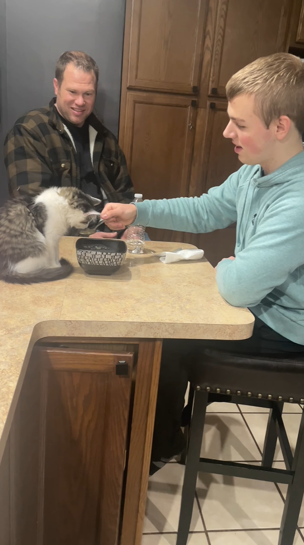 この猫まさか言葉を理解している？食事中に見つめてくるのでスプーンを差し出したのですが、具材を聞いた瞬間・・【アメリカ・動画】