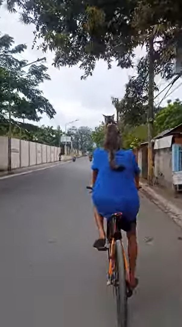 飼い主さんとお散歩中なのかな？自転車を漕ぐ男性の肩に、まさかの動物の姿がありました！！