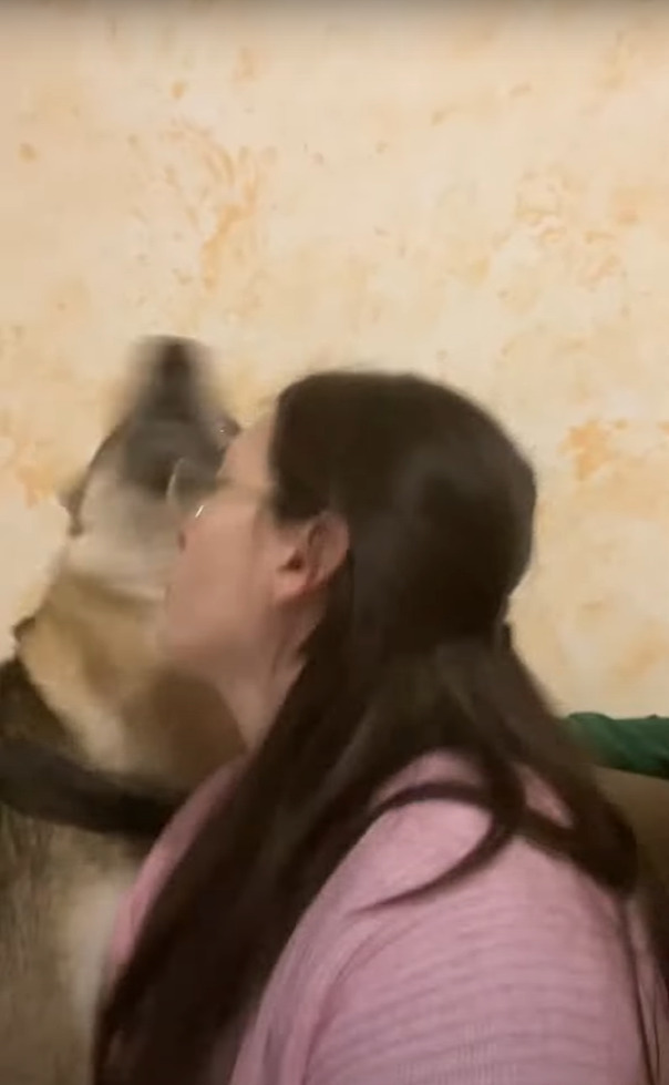 愛犬はパパさんが大好き！パパさんがキスしようとすると大喜びなのに、続けてママさんもキスをしようとしたら・・【海外・動画】