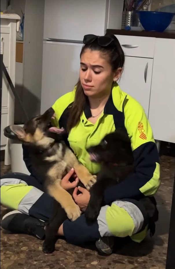 子犬たちはママさんが大好き！抱っこしてくれているママさんをめぐって、お膝の上で勝負中？【海外・動画】