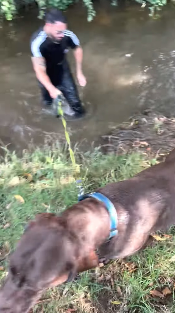 愛犬のために木の枝を川に向けて投げた女性。しかし、女性は知らなかったのです、その隣にいる男性がリードを握っていたことを【海外・動画】