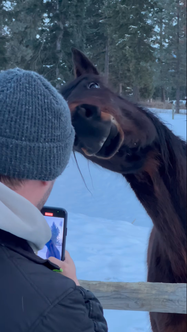 牧場にいる馬が動きを真似っこしてくると気が付いた撮影者さんたち。そこで体を大きくかしげてみたら・・【アメリカ・動画】