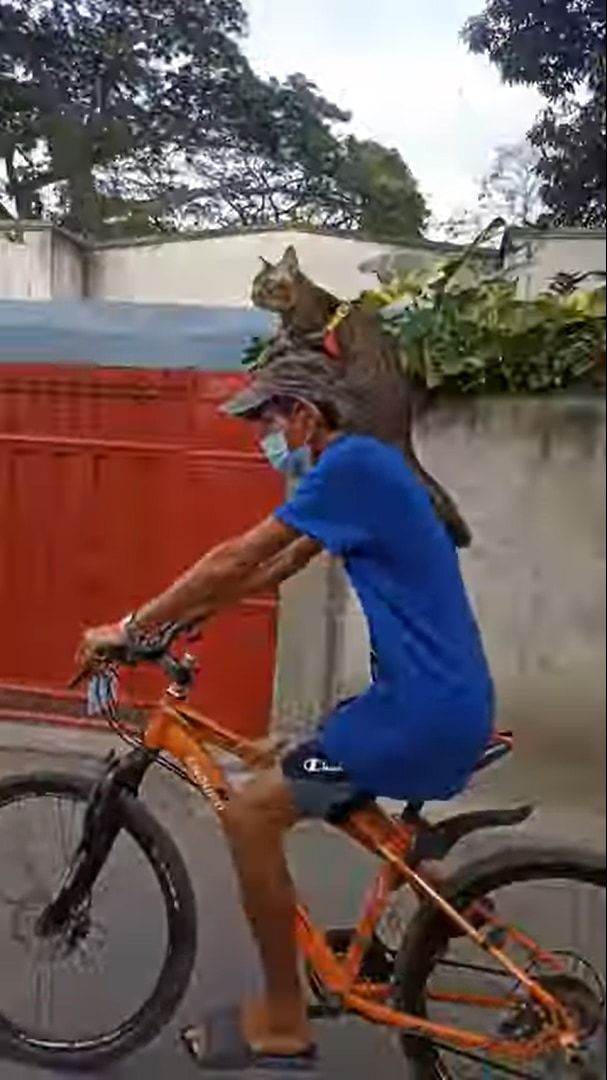 飼い主さんとお散歩中なのかな？自転車を漕ぐ男性の肩に、まさかの動物の姿がありました！！