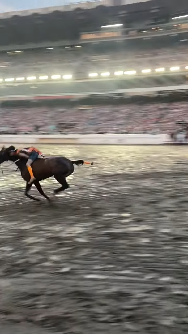 ワイルドかつ迫力満点な乗馬！ロデオイベントで騎手が見せた立ち上がる馬への乗りこなしがスゴい！！【海外・動画】