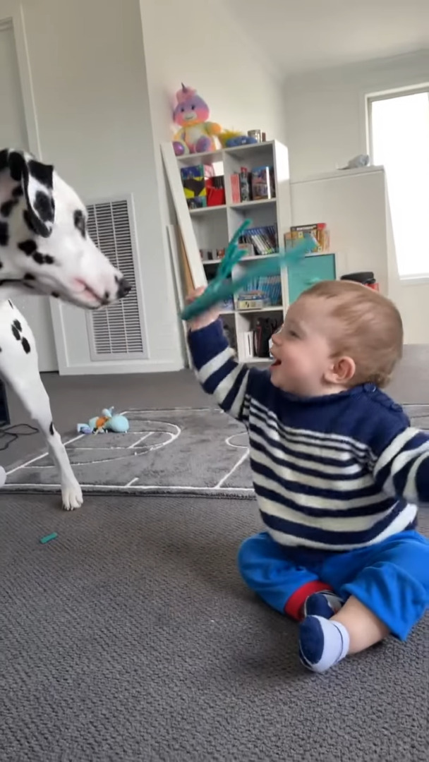 オモチャを渡すだけでも楽しい!キャッキャと笑いながら愛犬と遊ぶ赤ちゃんがかわいすぎる【海外・動画】