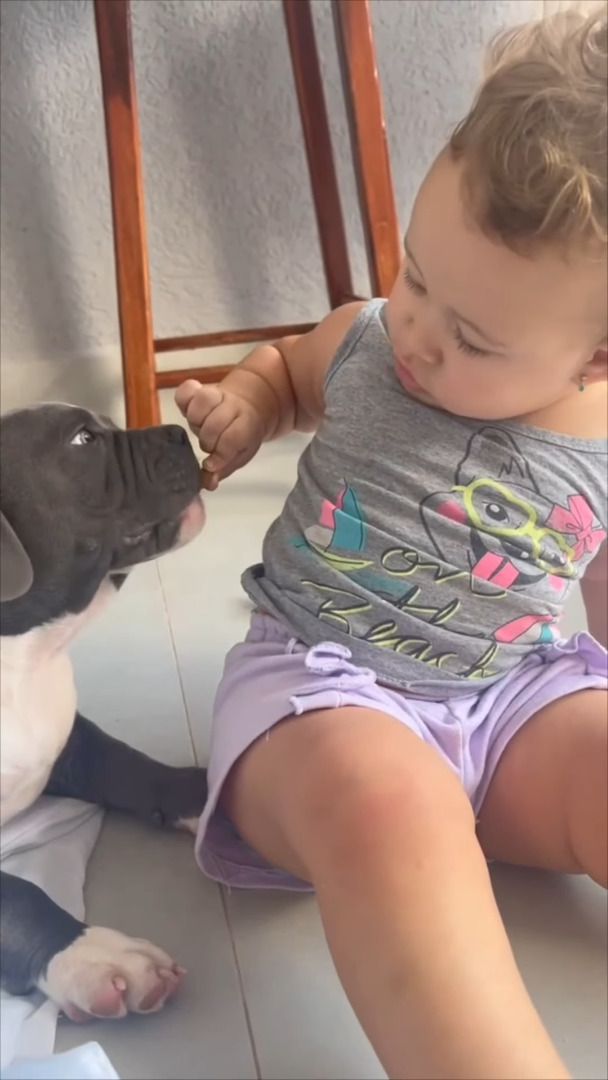 子犬にごはんを食べさせてあげる赤ちゃん。健気に世話を焼くその姿は、子犬のママみたい!!【海外・動画】