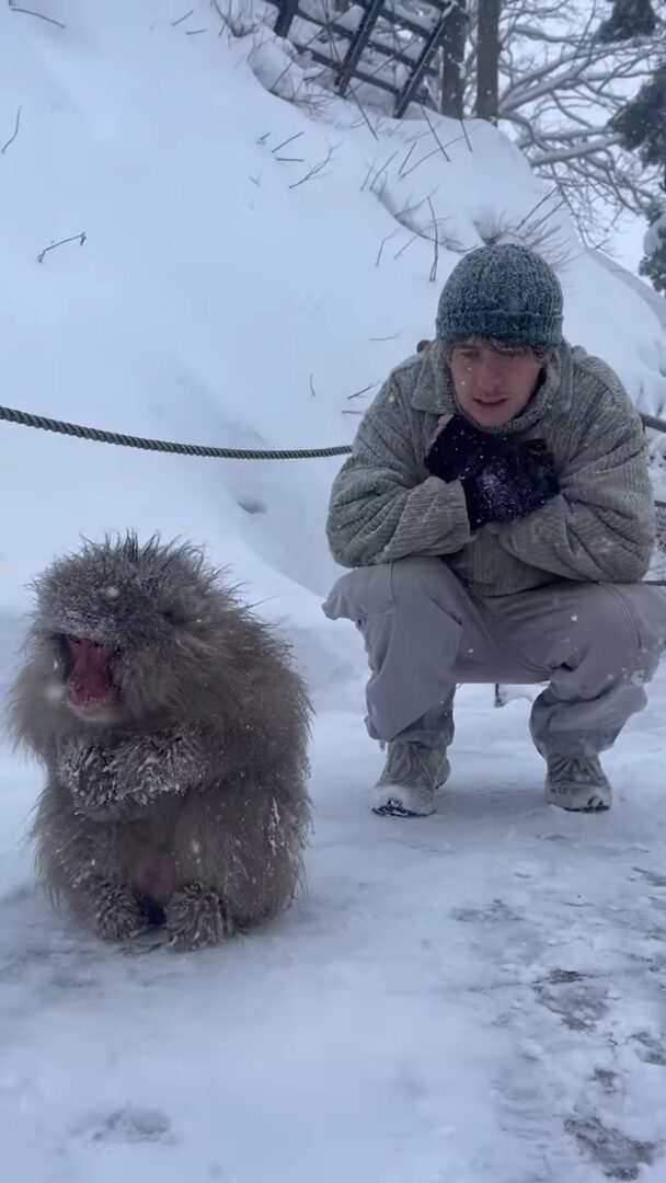 地獄谷野猿公苑で雪が降る中、温泉につかる野生のサルたち。ほっこりする光景に「美しい」「カワイイ」の声