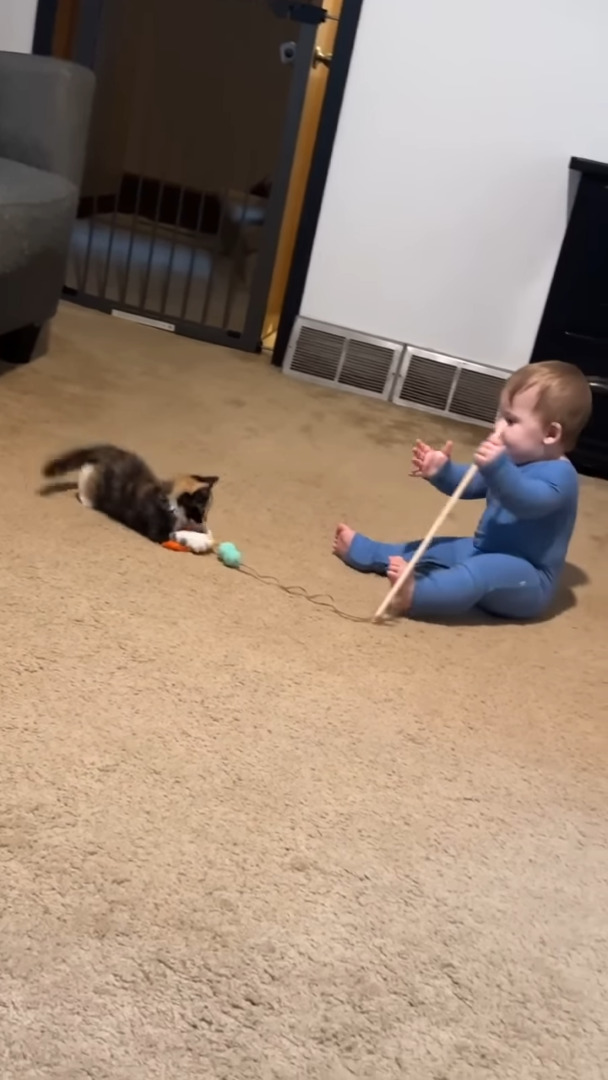 オモチャで遊ぶ赤ちゃんと子猫。幼いコンビが猫じゃらしをめぐってわちゃわちゃ！！【アメリカ・動画】