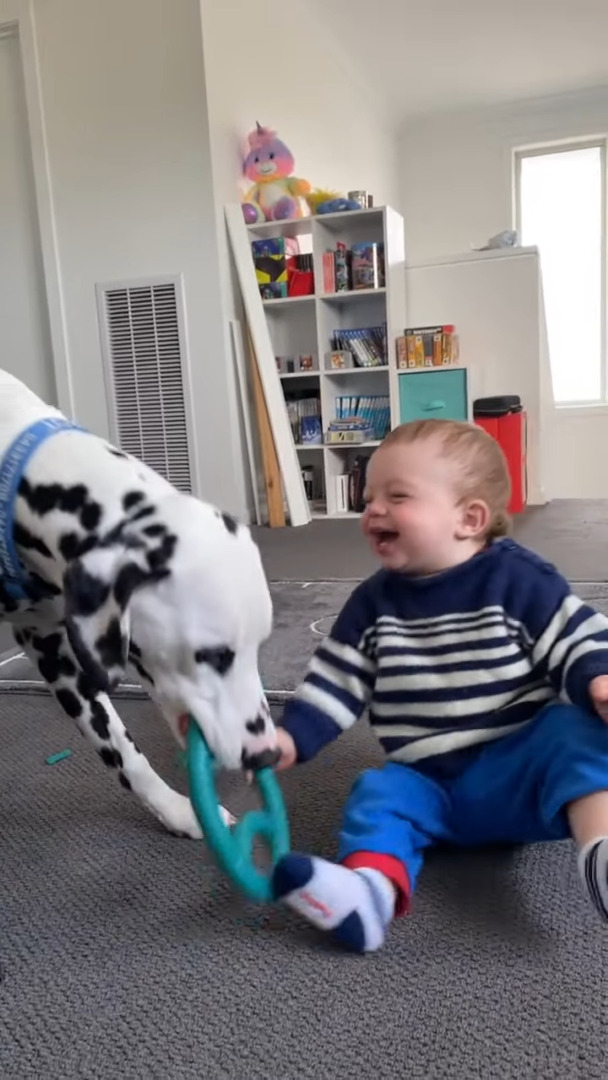 オモチャを渡すだけでも楽しい!キャッキャと笑いながら愛犬と遊ぶ赤ちゃんがかわいすぎる【海外・動画】