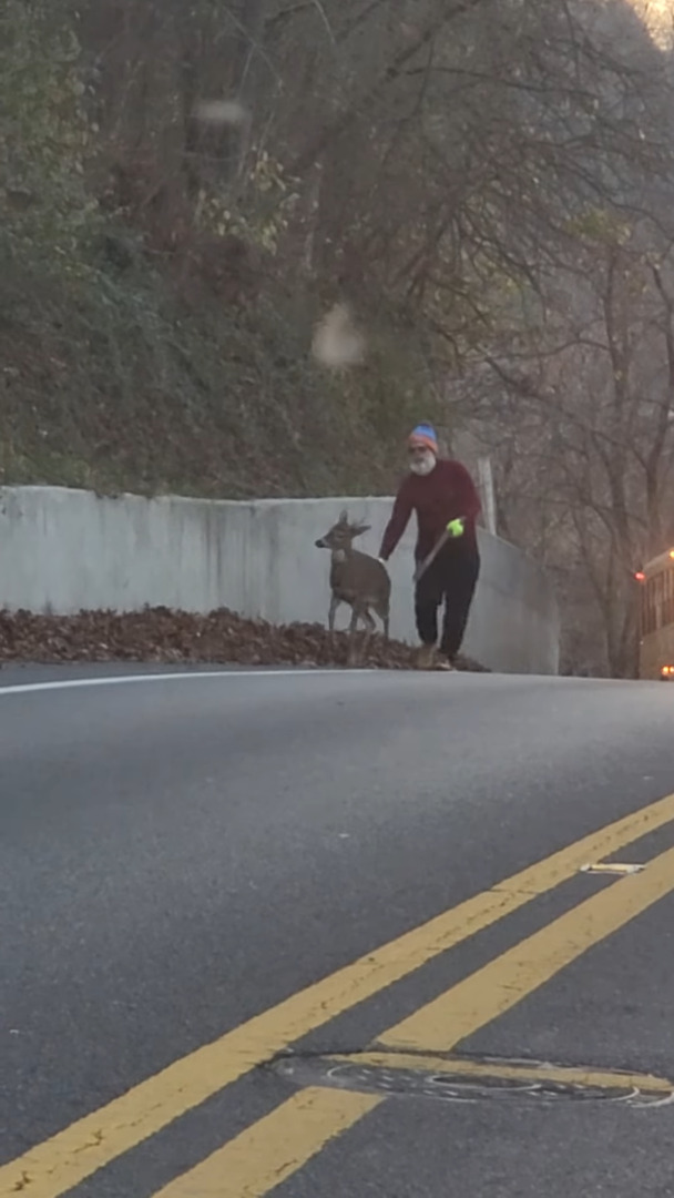 道路の端で鹿を誘導するヒゲをたくわえた男性。その光景は、サンタさんがクリスマスにソリを曳いてくれる子の勧誘をしているようでした!!