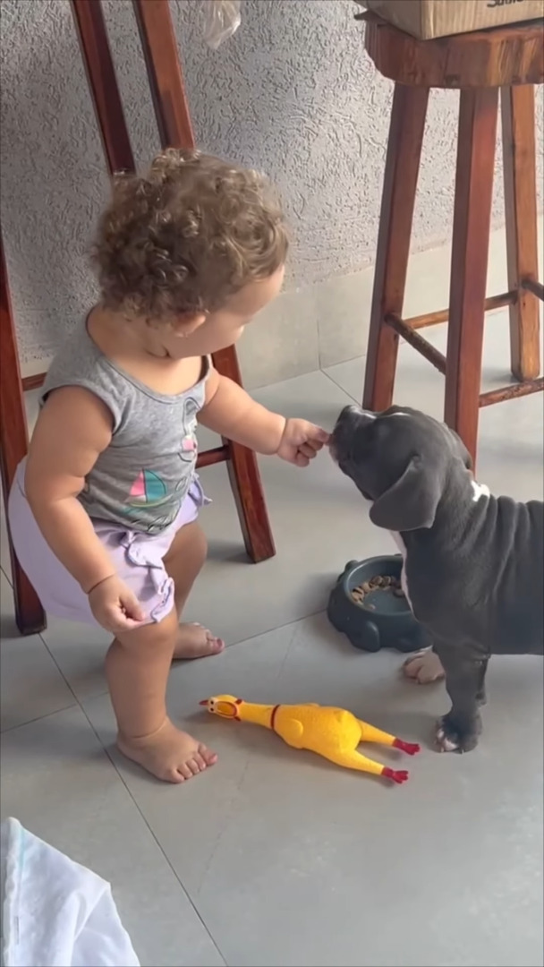 子犬にごはんを食べさせてあげる赤ちゃん。健気に世話を焼くその姿は、子犬のママみたい!!【海外・動画】