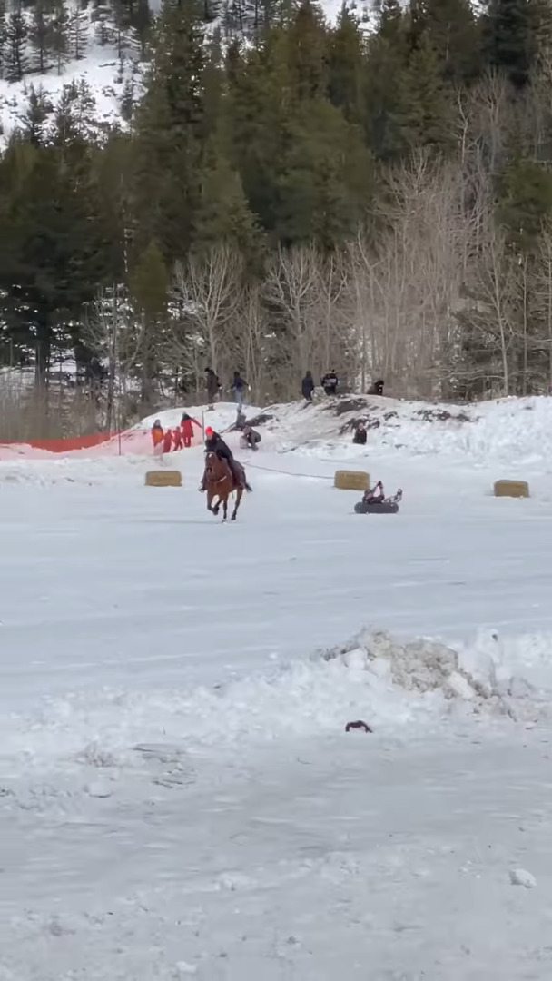 男性の乗るチューブを曳いて雪上を駆けていく馬。実はこれ、オリンピックでも人気の『あの競技』を行っているところでした！！【海外・動画】